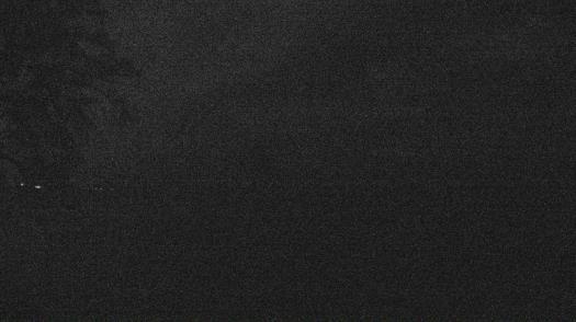 Weather camera view of Forest Lawn Beach.