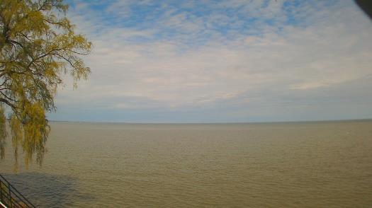 Weather camera view of Forest Lawn Beach.