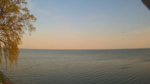 Weather camera view of Forest Lawn Beach.