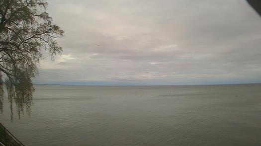 Weather camera view of Forest Lawn Beach.