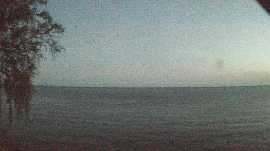 Weather camera view of Forest Lawn Beach.