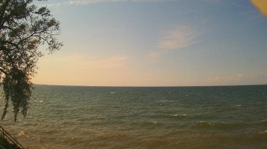 Weather camera view of Forest Lawn Beach.