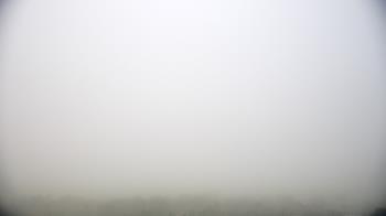 Weather camera view of Kansas Aviation Museum.