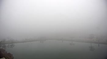 Weather camera view of Commerce Bank.