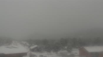 Weather camera view of Woodland Park Public Library.