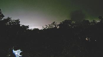 Weather camera view of Metairie Club Gardens.