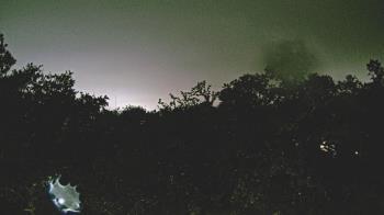 Weather camera view of Metairie Club Gardens.