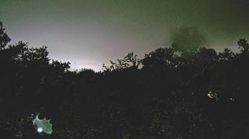 Weather camera view of Metairie Club Gardens.