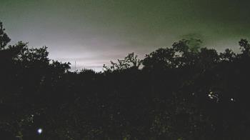 Weather camera view of Metairie Club Gardens.