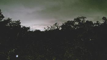 Weather camera view of Metairie Club Gardens.