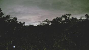 Weather camera view of Metairie Club Gardens.