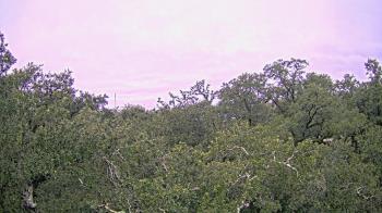 Weather camera view of Metairie Club Gardens.
