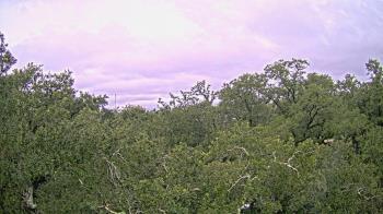 Weather camera view of Metairie Club Gardens.