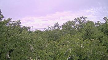 Weather camera view of Metairie Club Gardens.