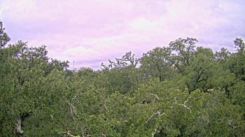 Weather camera view of Metairie Club Gardens.