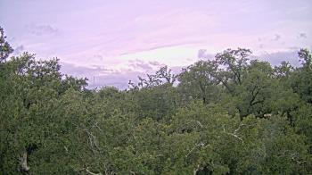 Weather camera view of Metairie Club Gardens.