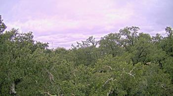 Weather camera view of Metairie Club Gardens.