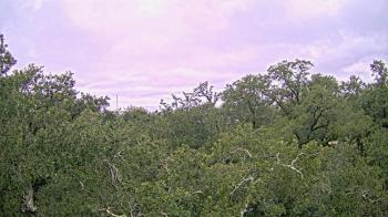 Weather camera view of Metairie Club Gardens.