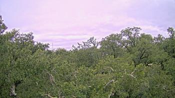 Weather camera view of Metairie Club Gardens.