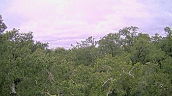 Weather camera view of Metairie Club Gardens.