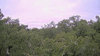 Weather camera view of Metairie Club Gardens.