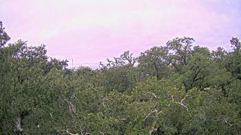 Weather camera view of Metairie Club Gardens.
