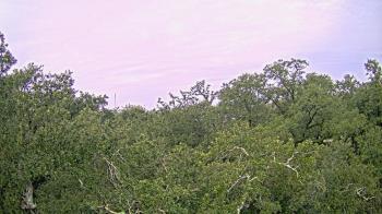 Weather camera view of Metairie Club Gardens.