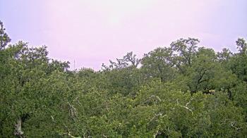 Weather camera view of Metairie Club Gardens.