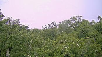 Weather camera view of Metairie Club Gardens.