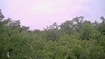 Weather camera view of Metairie Club Gardens.