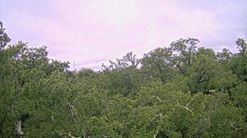 Weather camera view of Metairie Club Gardens.