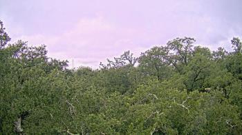 Weather camera view of Metairie Club Gardens.