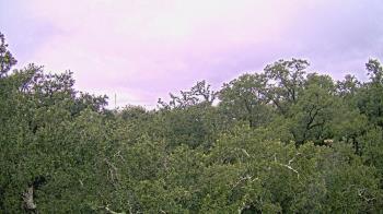Weather camera view of Metairie Club Gardens.