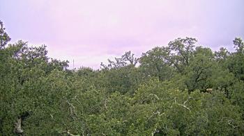 Weather camera view of Metairie Club Gardens.