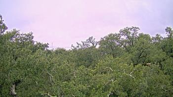 Weather camera view of Metairie Club Gardens.