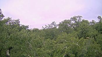Weather camera view of Metairie Club Gardens.