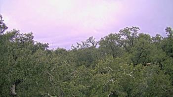 Weather camera view of Metairie Club Gardens.