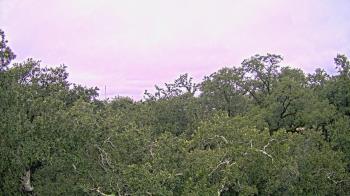 Weather camera view of Metairie Club Gardens.
