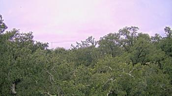 Weather camera view of Metairie Club Gardens.