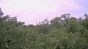 Weather camera view of Metairie Club Gardens.