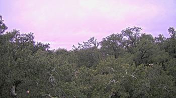 Weather camera view of Metairie Club Gardens.