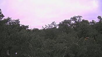 Weather camera view of Metairie Club Gardens.