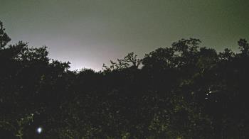 Weather camera view of Metairie Club Gardens.