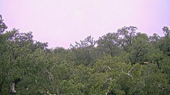 Weather camera view of Metairie Club Gardens.