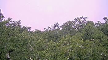 Weather camera view of Metairie Club Gardens.