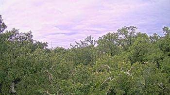 Weather camera view of Metairie Club Gardens.
