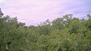 Weather camera view of Metairie Club Gardens.