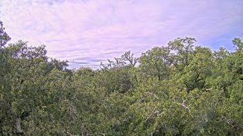 Weather camera view of Metairie Club Gardens.