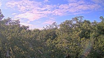 Weather camera view of Metairie Club Gardens.