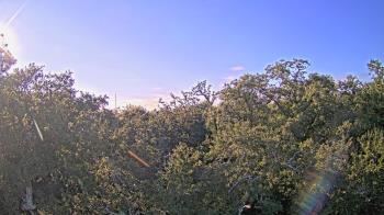 Weather camera view of Metairie Club Gardens.